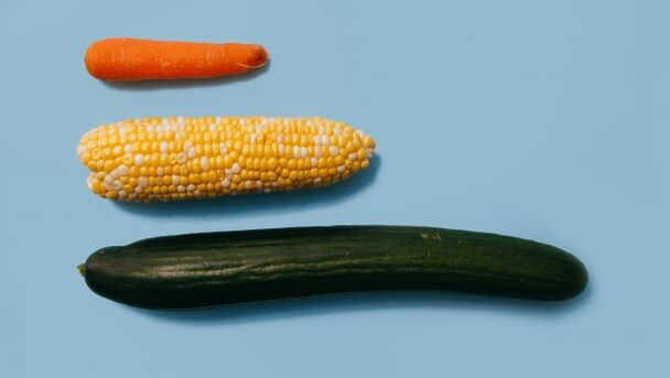 Meesliikme erinevad suurused köögiviljade näitel